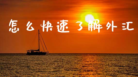 怎么快速了解外汇_https://www.gongyisiwang.com_股指期货_第1张