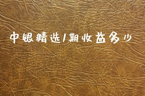 中银精选1期收益多少_https://www.gongyisiwang.com_期货公司手续费排名_第1张
