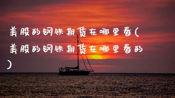 美股的钢铁期货在哪里看(美股的钢铁期货在哪里看的)_https://www.gongyisiwang.com_期货公司手续费排名_第1张