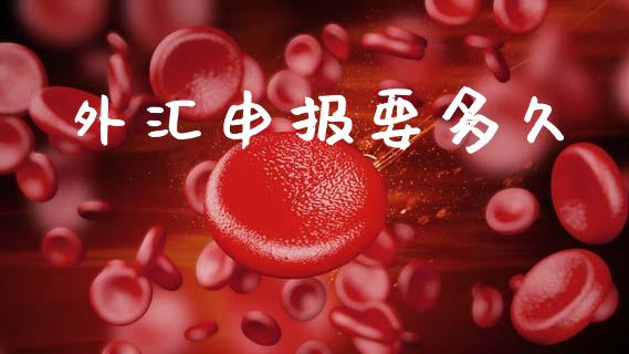 外汇申报要多久_https://www.gongyisiwang.com_焦炭期货手续费_第1张