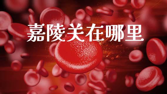 嘉陵关在哪里_https://www.gongyisiwang.com_恒指期货_第1张