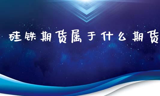 硅铁期货属于什么期货_https://www.gongyisiwang.com_股指期货交易手续费_第1张