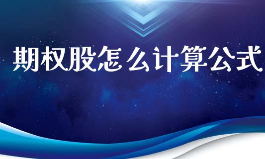 期权股怎么计算公式_https://www.gongyisiwang.com_期货公司手续费排名_第1张