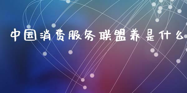 中国消费服务联盟养是什么_https://www.gongyisiwang.com_股指期货交易手续费_第1张
