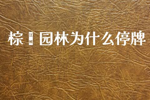 棕榈园林为什么停牌_https://www.gongyisiwang.com_原油期货_第1张