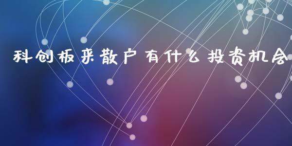 科创板来散户有什么投资机会_https://www.gongyisiwang.com_期货公司手续费排名_第1张