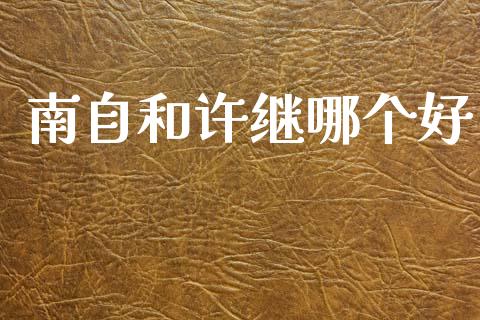 南自和许继哪个好_https://www.gongyisiwang.com_股指期货_第1张