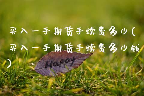买入一手期货手续费多少(买入一手期货手续费多少钱)_https://www.gongyisiwang.com_焦炭期货手续费_第1张
