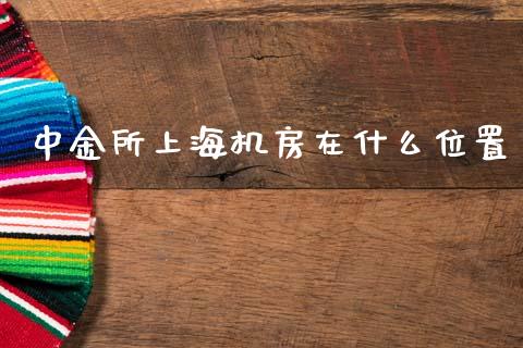 中金所上海机房在什么位置_https://www.gongyisiwang.com_股指期货交易手续费_第1张
