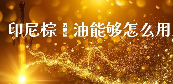 印尼棕榈油能够怎么用_https://www.gongyisiwang.com_广发期货手续费_第1张