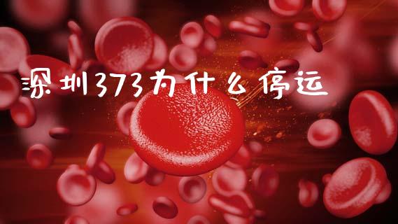深圳373为什么停运_https://www.gongyisiwang.com_焦炭期货手续费_第1张