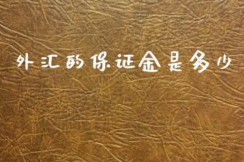 外汇的保证金是多少_https://www.gongyisiwang.com_期货公司手续费排名_第1张