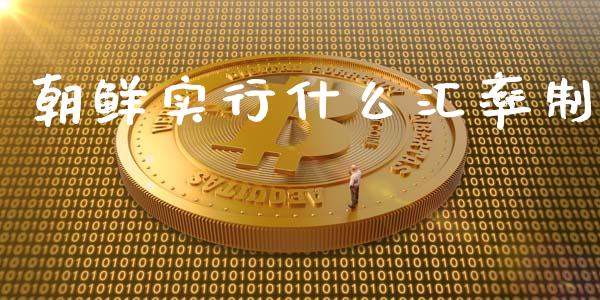 朝鲜实行什么汇率制_https://www.gongyisiwang.com_股指期货_第1张