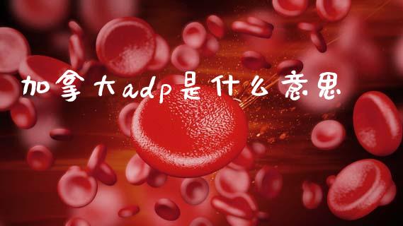加拿大adp是什么意思_https://www.gongyisiwang.com_广发期货手续费_第1张