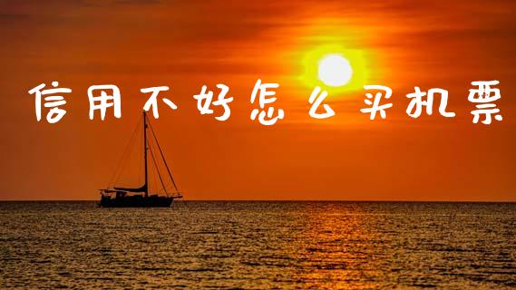 信用不好怎么买机票_https://www.gongyisiwang.com_股指期货_第1张