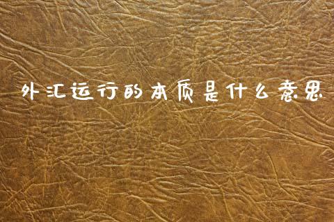 外汇运行的本质是什么意思_https://www.gongyisiwang.com_股指期货_第1张