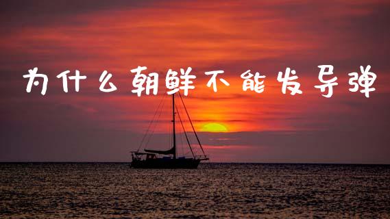 为什么朝鲜不能发导弹_https://www.gongyisiwang.com_焦炭期货手续费_第1张