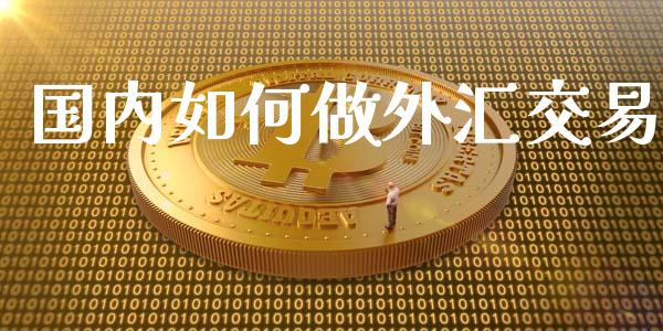国内如何做外汇交易_https://www.gongyisiwang.com_股指期货_第1张