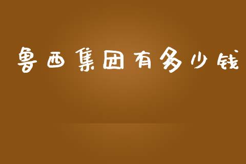 鲁西集团有多少钱_https://www.gongyisiwang.com_原油期货_第1张