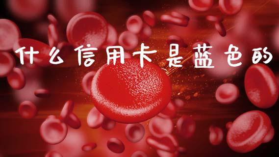 什么信用卡是蓝色的_https://www.gongyisiwang.com_道指_第1张