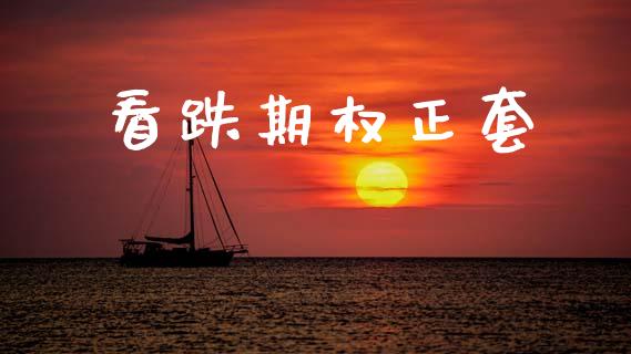 看跌期权正套_https://www.gongyisiwang.com_道指_第1张