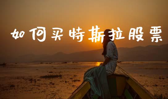 如何买特斯拉股票_https://www.gongyisiwang.com_期货公司手续费排名_第1张