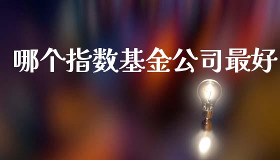 哪个指数基金公司最好_https://www.gongyisiwang.com_期货公司手续费排名_第1张