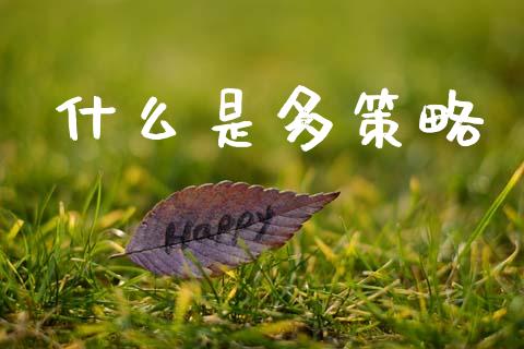 什么是多策略_https://www.gongyisiwang.com_焦炭期货手续费_第1张
