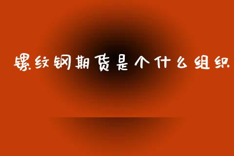 镙纹钢期货是个什么组织_https://www.gongyisiwang.com_期货公司手续费排名_第1张