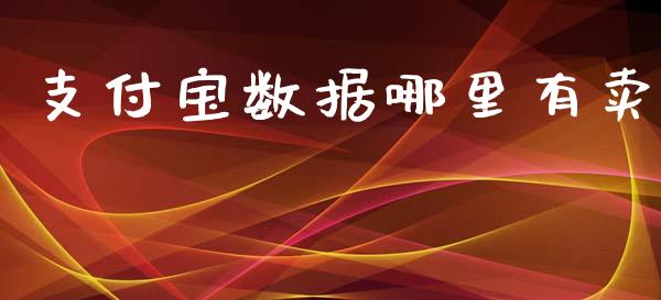 支付宝数据哪里有卖_https://www.gongyisiwang.com_广发期货手续费_第1张
