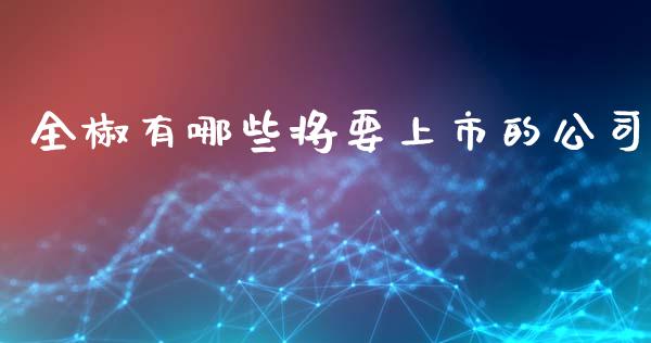 全椒有哪些将要上市的公司_https://www.gongyisiwang.com_期货公司手续费排名_第1张