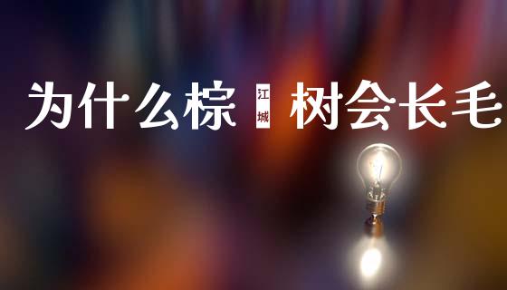 为什么棕榈树会长毛_https://www.gongyisiwang.com_期货公司手续费排名_第1张