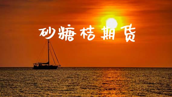砂糖桔期货_https://www.gongyisiwang.com_焦炭期货手续费_第1张