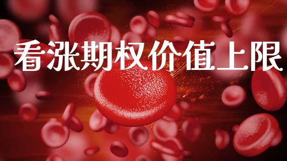 看涨期权价值上限_https://www.gongyisiwang.com_道指_第1张