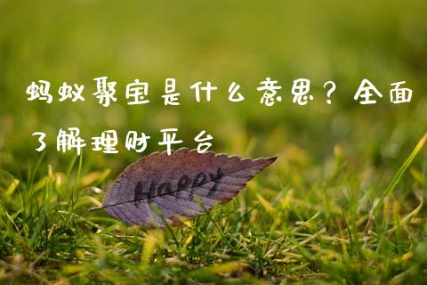 蚂蚁聚宝是什么意思?全面了解理财平台_股指期货交易手续费_第1张_股指期货交易手续费_广发期货手续费_期货公司手续费排名_焦炭期货手续费 蚂蚁聚宝是什么意思?全面了解理财平台_https://www.gongyisiwang.com_股指期货交易手续费_第1张