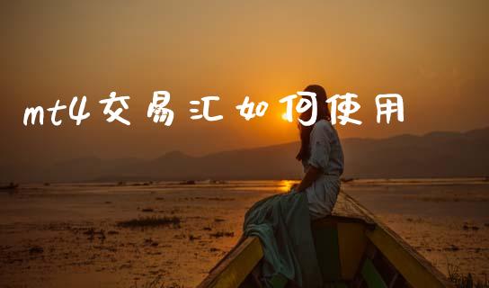 mt4交易汇如何使用_https://www.gongyisiwang.com_股指期货交易手续费_第1张