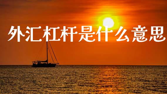 外汇杠杆是什么意思_https://www.gongyisiwang.com_道指_第1张