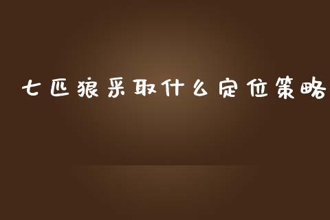 七匹狼采取什么定位策略_https://www.gongyisiwang.com_道指_第1张