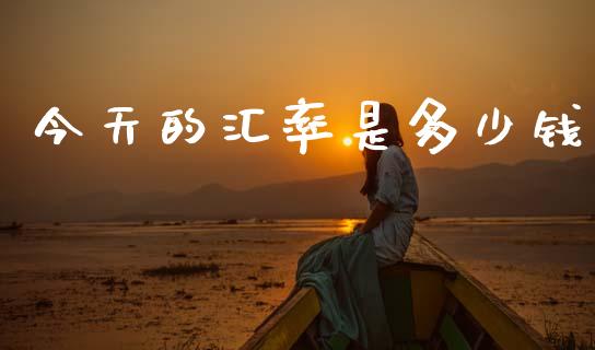 今天的汇率是多少钱_https://www.gongyisiwang.com_恒指期货_第1张