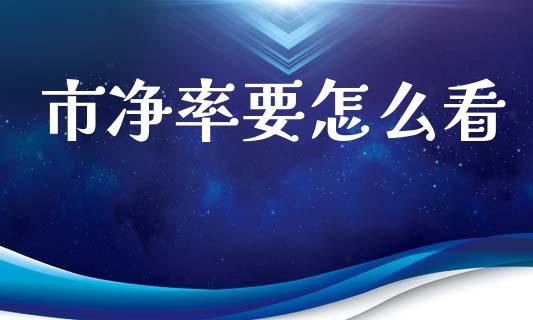 市净率要怎么看_https://www.gongyisiwang.com_期货公司手续费排名_第1张