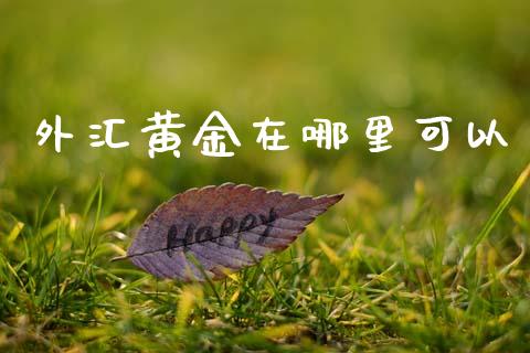 外汇黄金在哪里可以_https://www.gongyisiwang.com_期货公司手续费排名_第1张