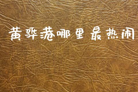 黄骅港哪里最热闹_https://www.gongyisiwang.com_股指期货_第1张