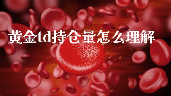 黄金td持仓量怎么理解_https://www.gongyisiwang.com_股指期货交易手续费_第1张