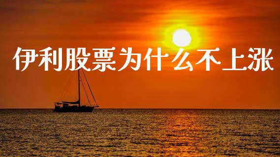 伊利股票为什么不上涨_https://www.gongyisiwang.com_道指_第1张