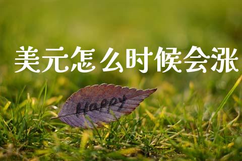 美元怎么时候会涨_https://www.gongyisiwang.com_期货公司手续费排名_第1张