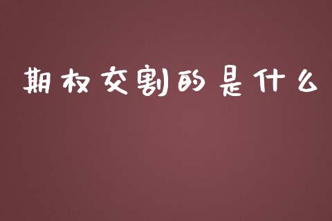 期权交割的是什么_https://www.gongyisiwang.com_股指期货_第1张
