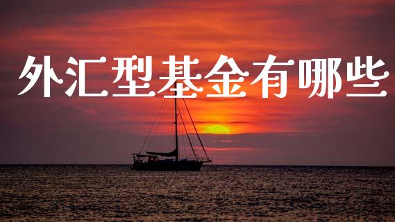 外汇型基金有哪些_https://www.gongyisiwang.com_原油期货_第1张