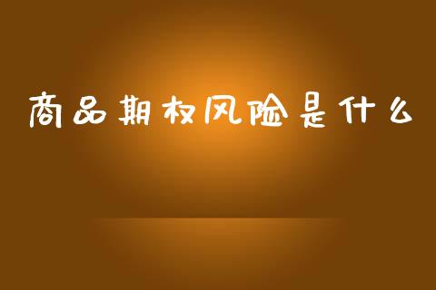 商品期权风险是什么_https://www.gongyisiwang.com_期货公司手续费排名_第1张