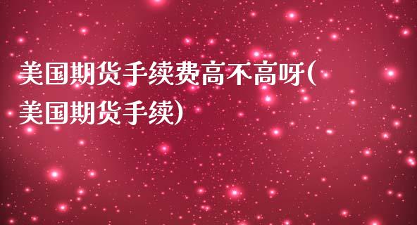 美国期货手续费高不高呀(美国期货手续)_https://www.gongyisiwang.com_股指期货交易手续费_第1张