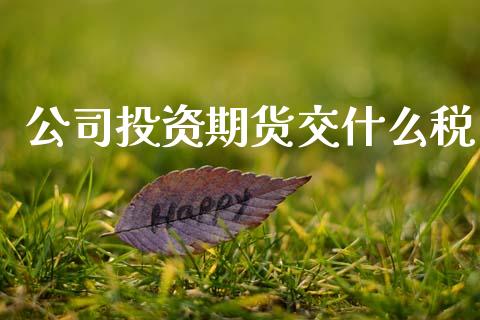 公司投资期货交什么税_https://www.gongyisiwang.com_焦炭期货手续费_第1张